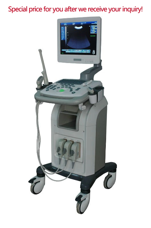 High Grade Ultrasound Diagnosing Device (THR-US9902)