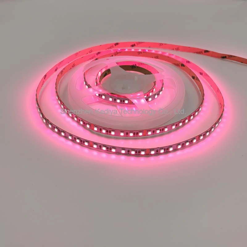 RGB Flexible Waterproof LED Strip 24V RGB 3838 120LEDs 14.4W/M 5m/Roll Outdoor Decoration LED RGB Light Strip with FCC CCC LVD EMC RoHS CE Certification