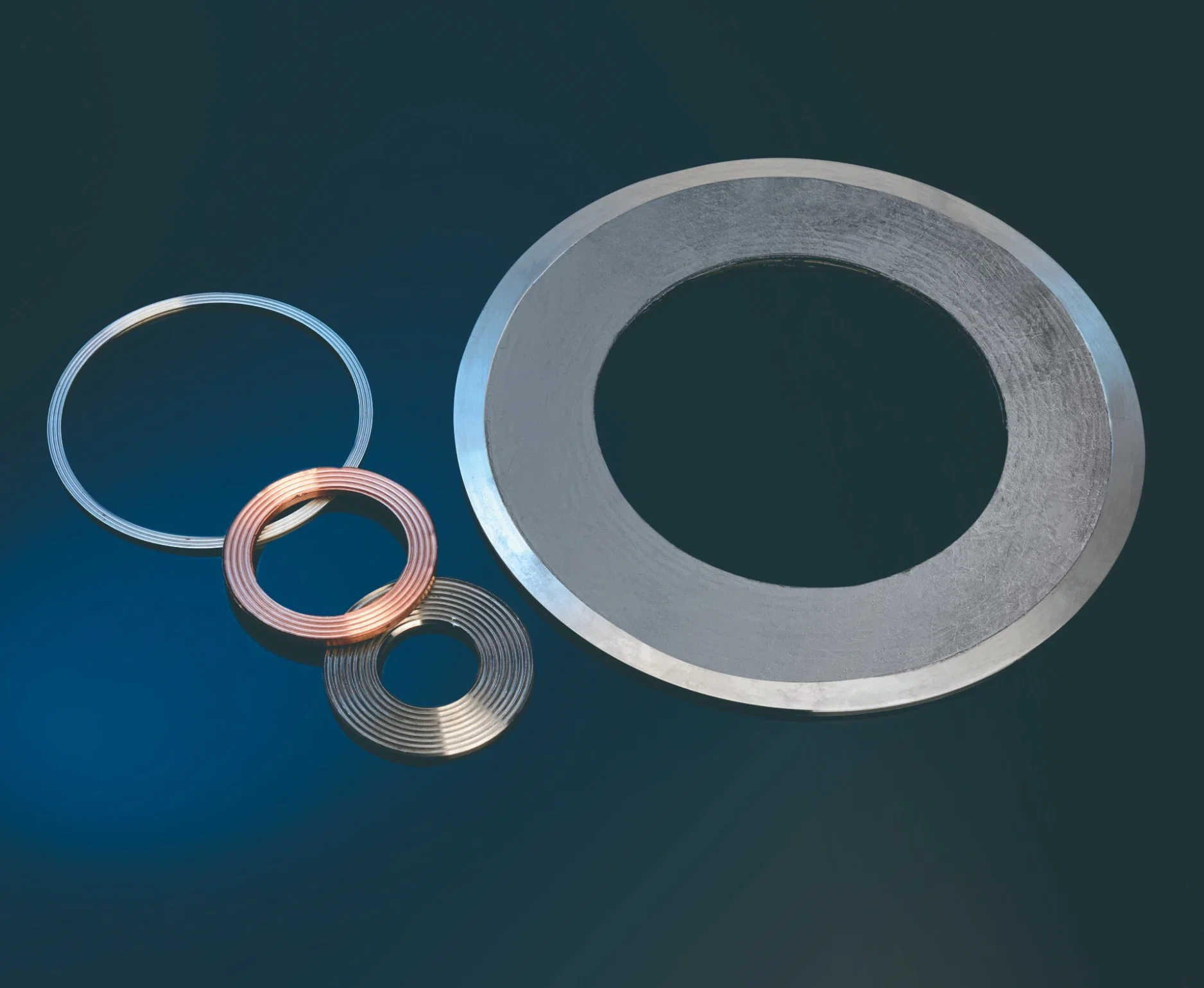 Spiral/Lens Ring Wound Gasket/Expanded Graphite Gasket