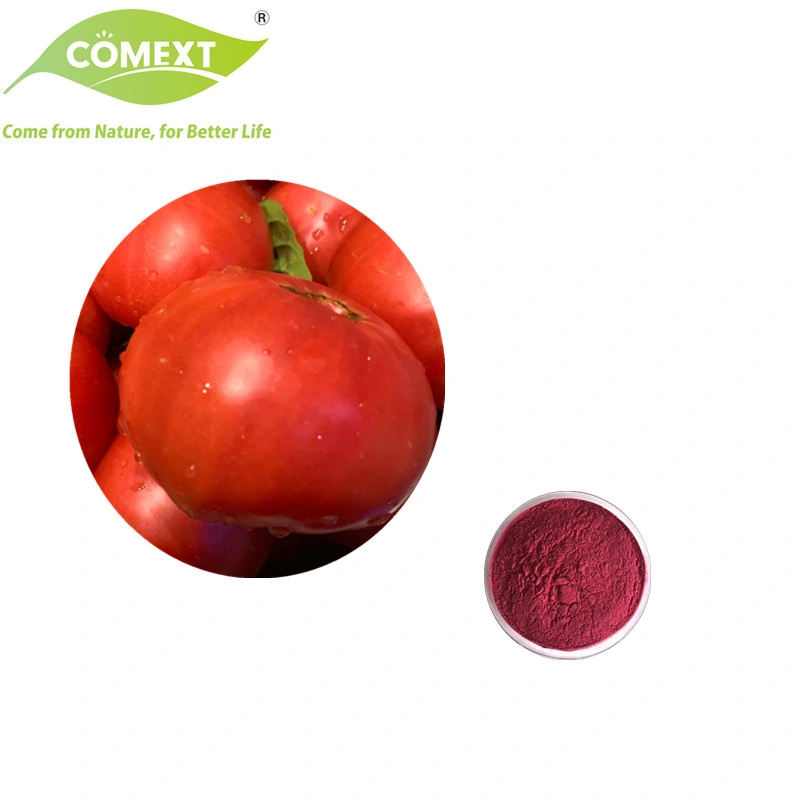 Comext Fabrik Direktverkauf Kosher Halal FSSC HACCP-zertifiziertes Lycopin Tomatenextrakt