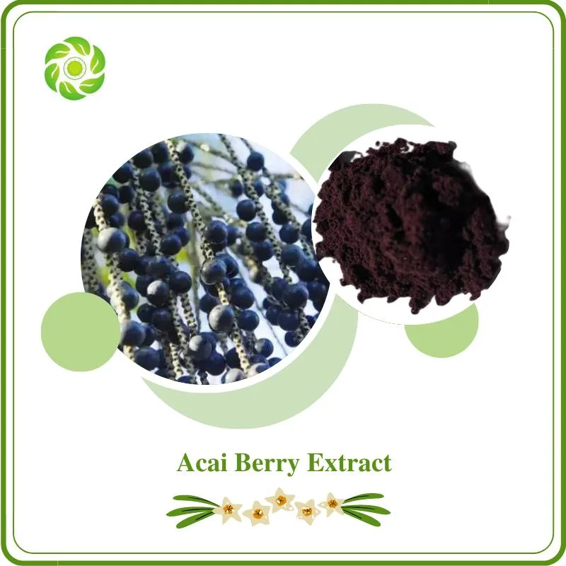 World Well-Being Biotech ISO&FDA Certified OEM Manufacturer 5-10% Vitamin C 10% 20% Polyphenols Acai Berry Extract Freeze Dried Acai Berry