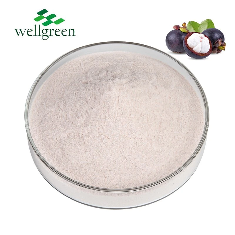 Factory Supply Mangosteen Extract 20% Alpha Mangostin Mangostana Powder