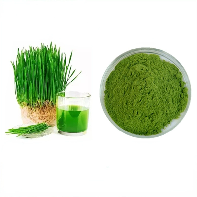 Natural Barley Seedling Fresh Juice Powder