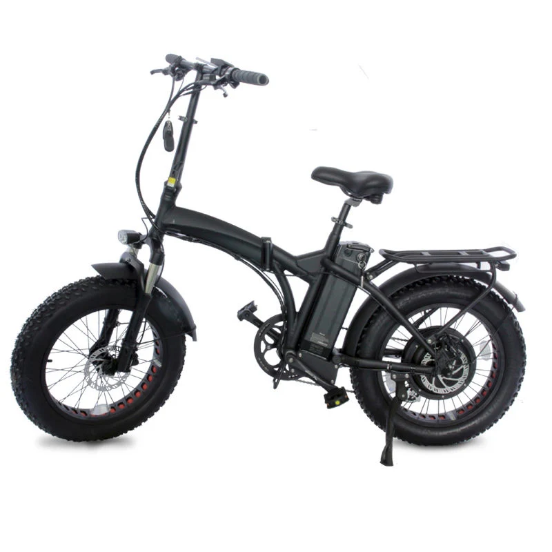 China Manufacturer Customized 20inch Electric Fat Bike 750W Electric Bicycle