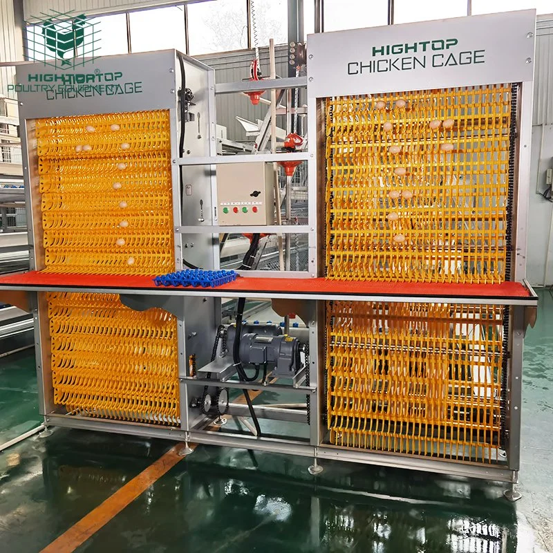 Hot Galvanized Battery A Type Chicken Layer Cage for Poultry Equipment