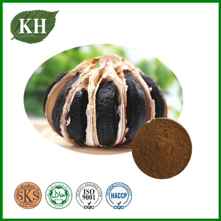 1% 3% Polyphenols Black Garlic Powder Extract 1% S-Alyl-Cysteine