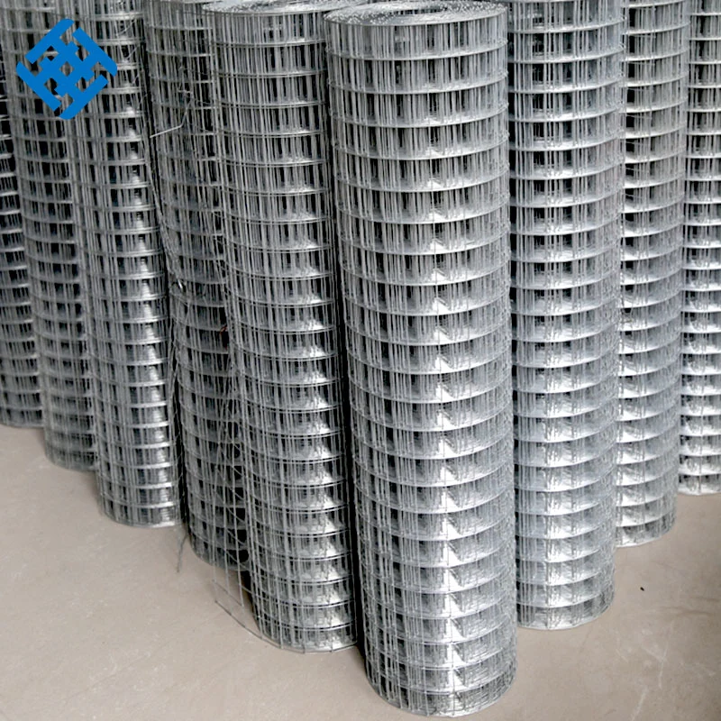 1/2""X1/2' Steel Galvanized Welded Wire Mesh for Buildng