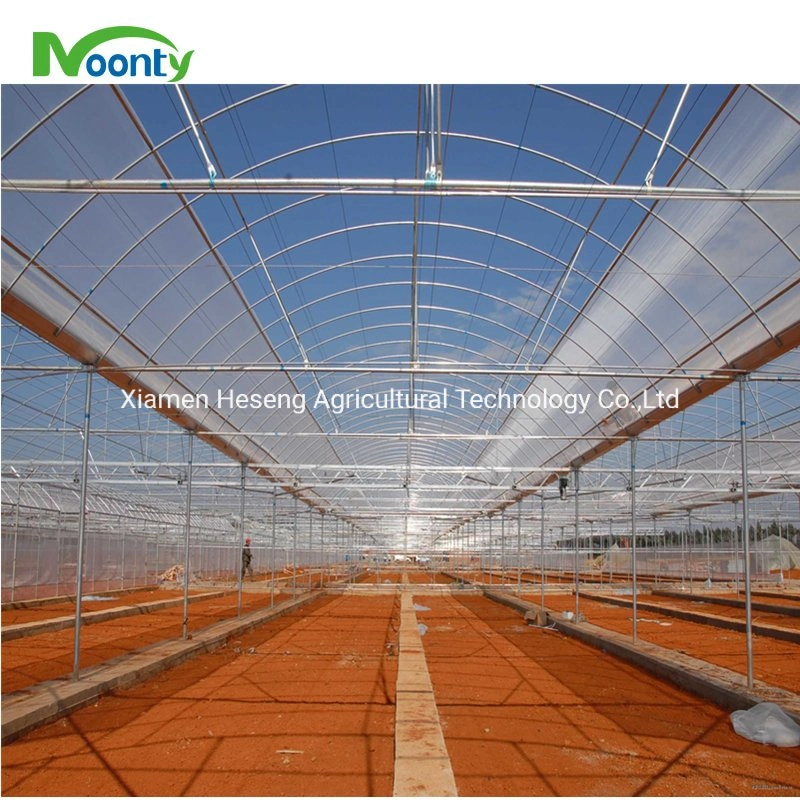 Agricultural/Commercial Multi Span/Cheap Tunnels/Gothic Plastic Film Hydroponic Greenhouse for Tomatoes/Cucumber/Lettuce Growing