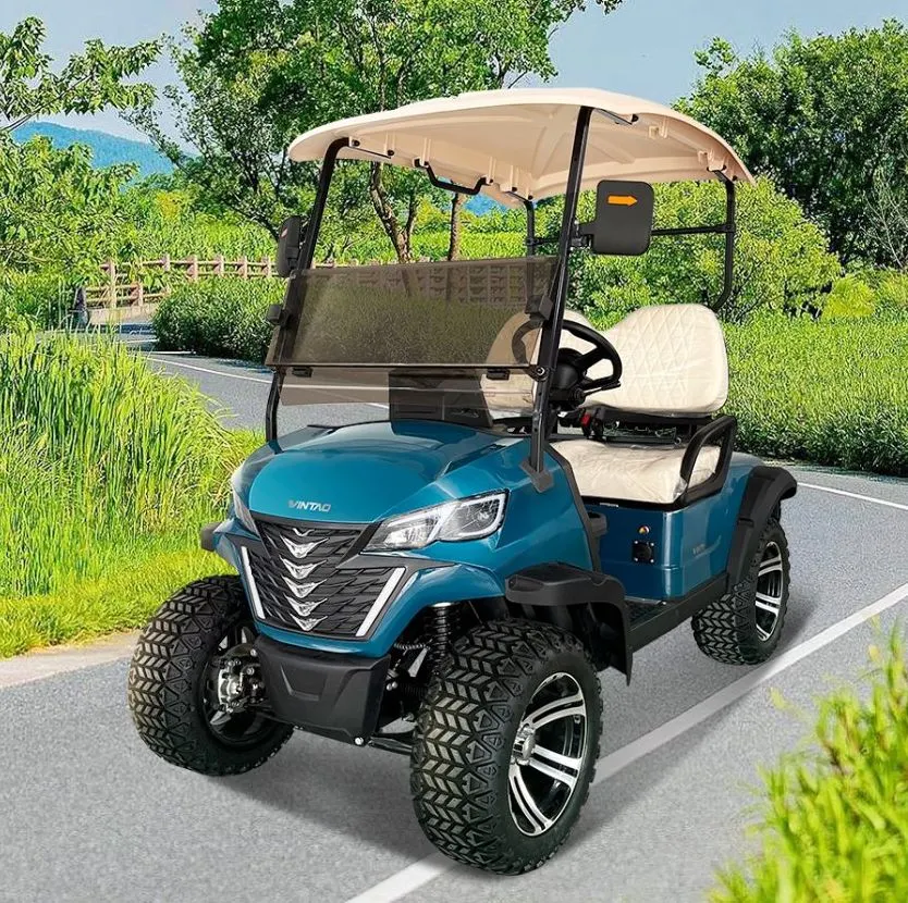 Wintao 72V batterie au lithium chariot électrique de golf 2 places