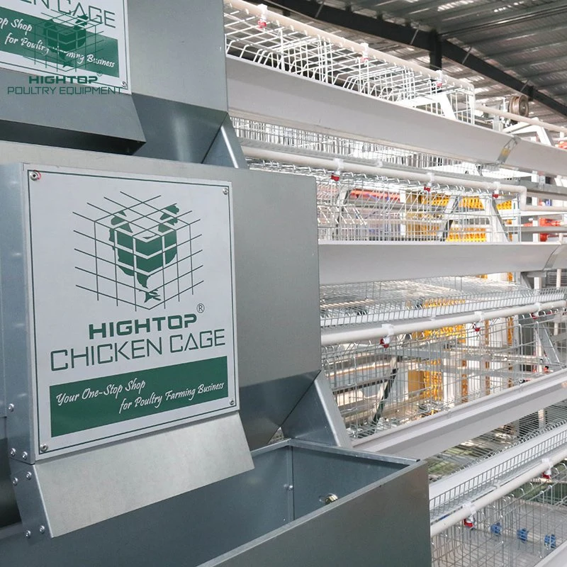 Un Tipo huevo capa aves de corral Agricultura caliente sumergido Galvanizado automático Batería de la jaula de pollo para la venta