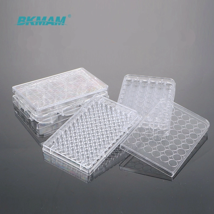 6well 12well 24well 48well 96well Transparent Tc Treated Cell Culture Plate with Lid