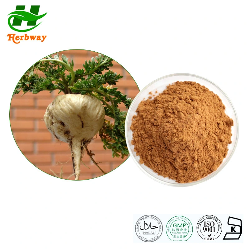 Herbway Kosher Halal Certified Plant Extract Herbal Extract 4: 1 10: 1 6% Macamides Tongkat Ali Maca Powder Maca Extract for Male Health Care