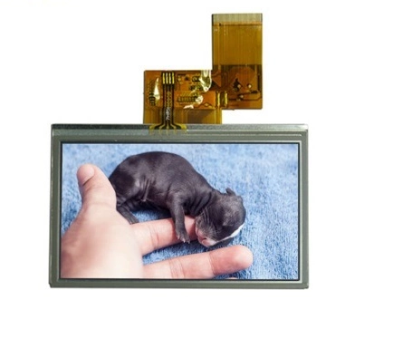 4.3inch TFT LCD with Touch Screen PDA LCD Screen Rg043dtt-02r