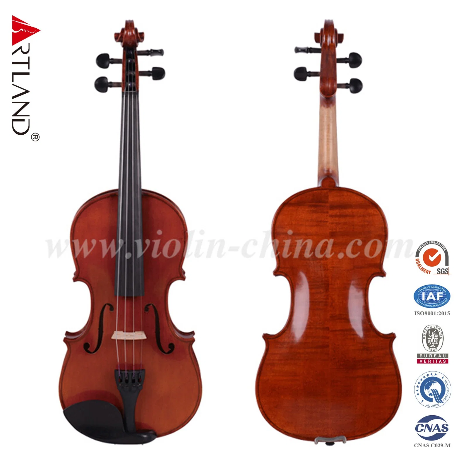 Hand Made Solid Wood Violin (AV50) Advanced Violin