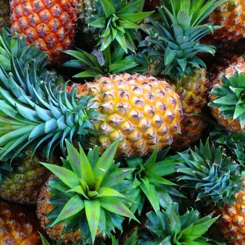 Золотистый MD2 Pineapple Ahahac Овощи полезных фруктов обработанные высокое качество Оптовая торговля