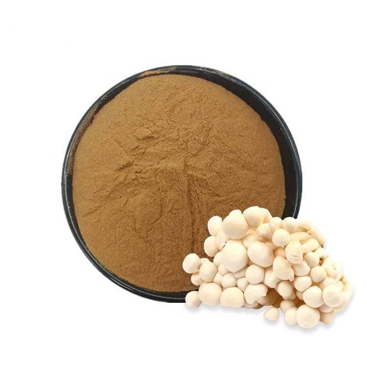 Health Care Golden Needle Mushroom Extract 30%, 40%, 50% Polysaccharides