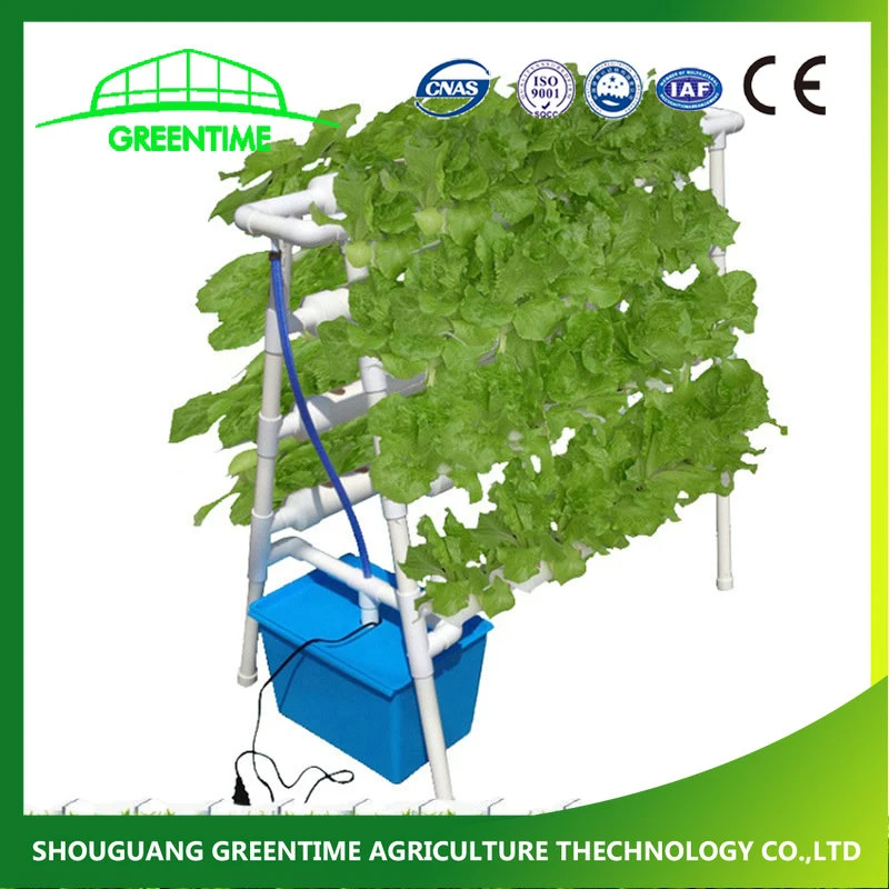 China Supplier Agriculture Vertical Hydroponics System Vertical Growing System Indoor for Vegetable/Flower/Fruit