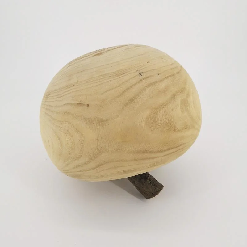 Ornament Natural Wood Artificial Apple Desktop Fake Apple Wooden Crafts