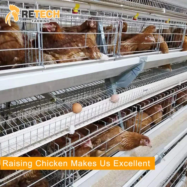 Nuevo diseño del manual de la batería de 4 niveles de pollo de la capa de jaula para las granjas avícolas