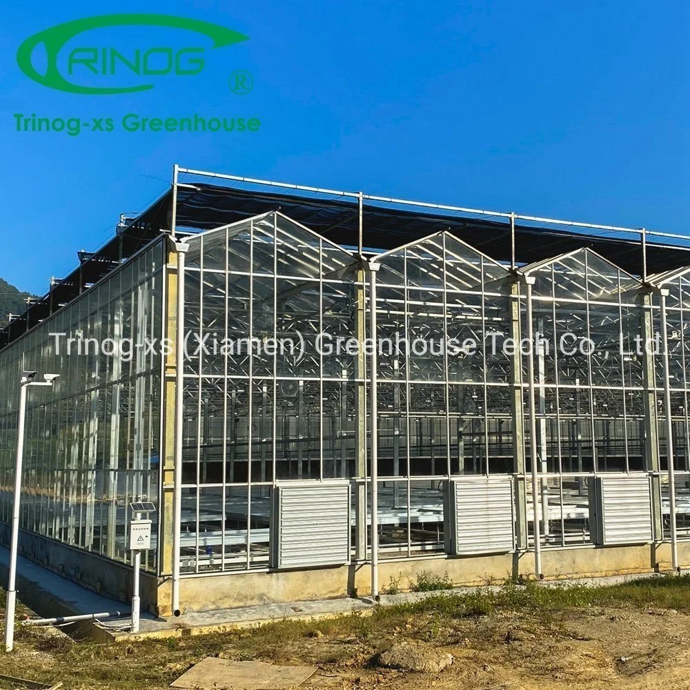 Complete Multi-span Agricultural Galvanized Steel Pipe Structure Glass Greenhouse with Indoor Hydroponic System