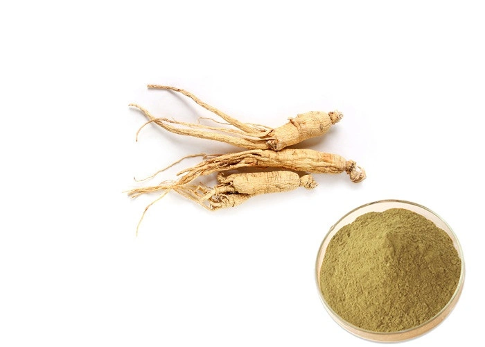 Experience The Health Benefits of Panax Ginseng C. a Mey with World-Way Biotech's Extract