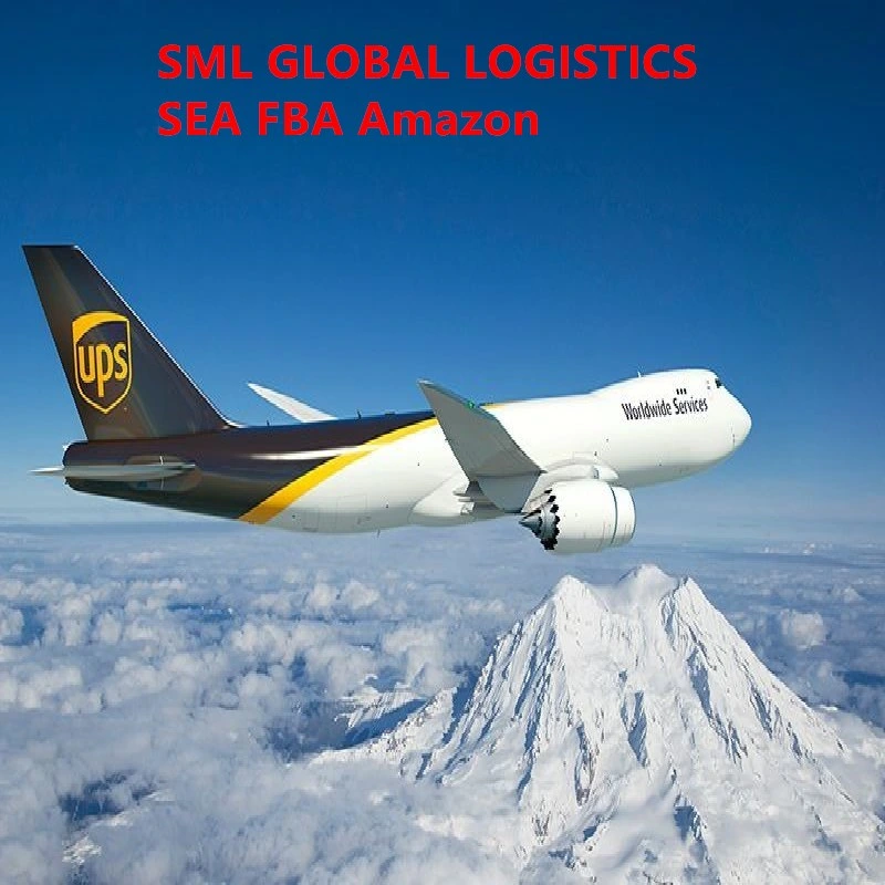 Export Agent DDP Sea Shipping Air Freight Forwarder to Taiwan/Tanzania/Thailand/Timor Leste/Tinian/Saudi Arabia/Singapore FedEx/UPS/TNT/DHL Express Logistics