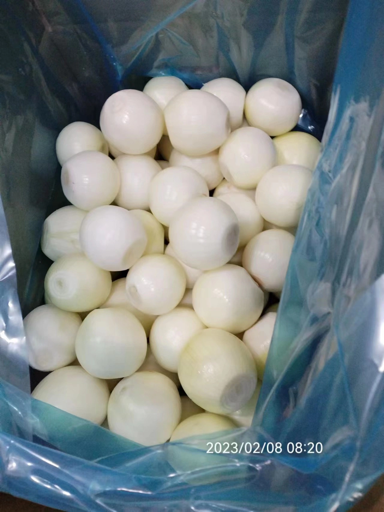 Whole Wholesale/Supplier Red Yellow White Green Skin Crop Peeled Purple Organic Frozen Fresh Vegetable Onion Price From Factory Supplier