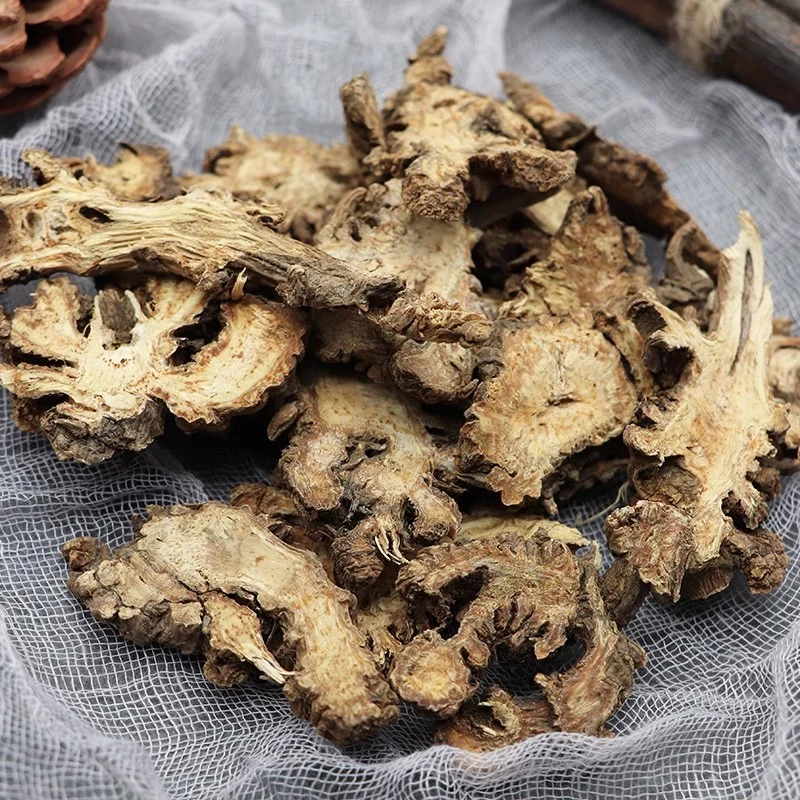 Chinese Herb Rhizoma Ligustici Natural Herbal Medicine Ligusticum Sinense Oliv Gao Ben