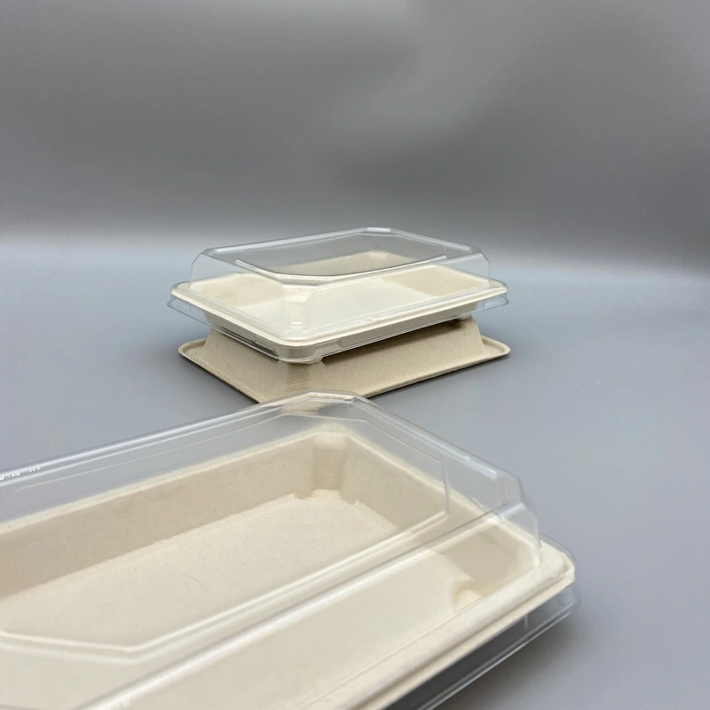 Plastic Free Ecofriendly Take out Foodbox Sugarcane Sushi Tray Biodegradable Tableware