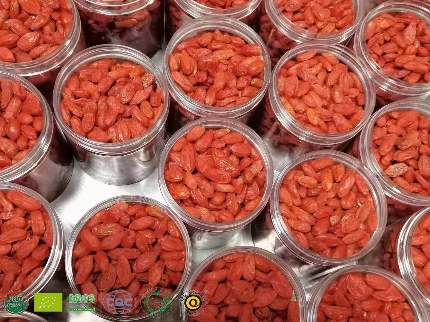 Chino secado Superfood Goji Berry Bueno para la Salud