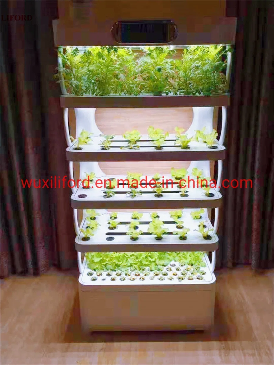 China Made Intelligent LED Light Indoor Hydroponics Growing System