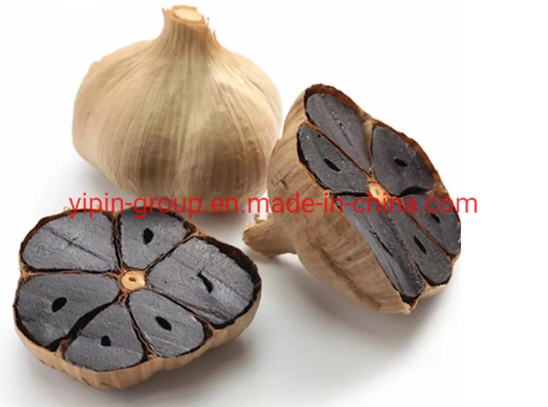 Chinese Garlic Healthy Black Garlic High quality/High cost performance Wholesale/Supplier Black Garlic