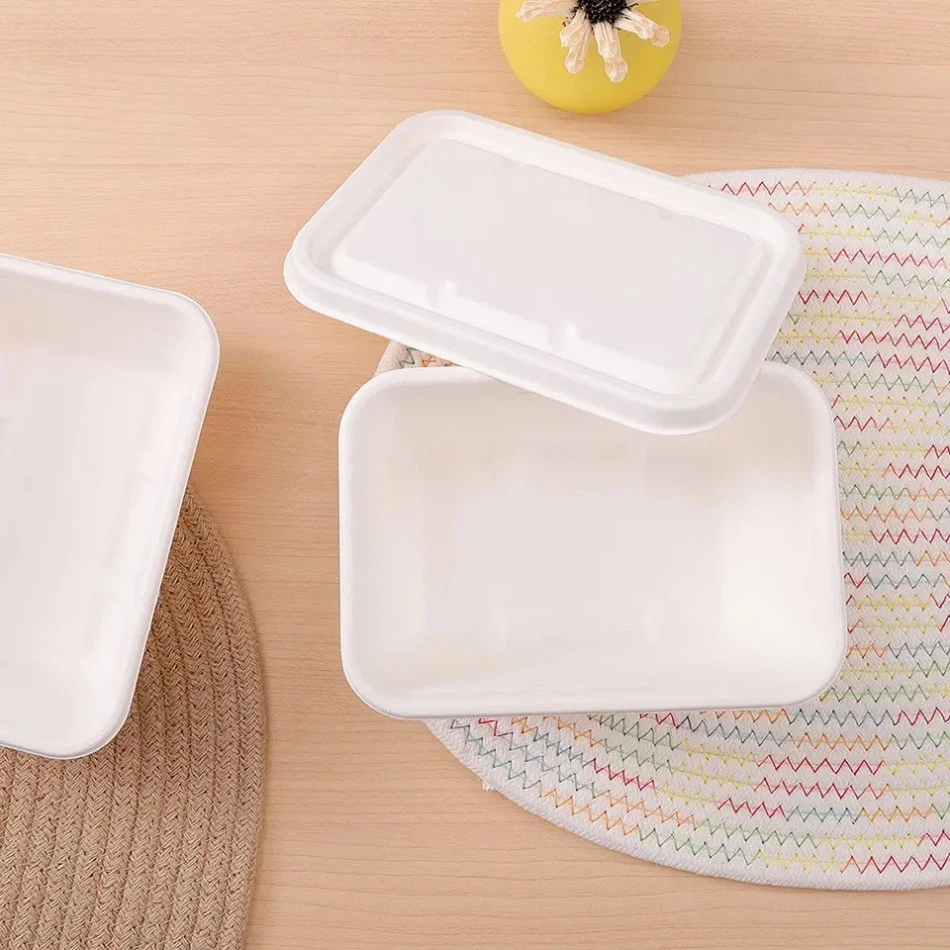 Best Selling Bagasse Cake 24oz Tray