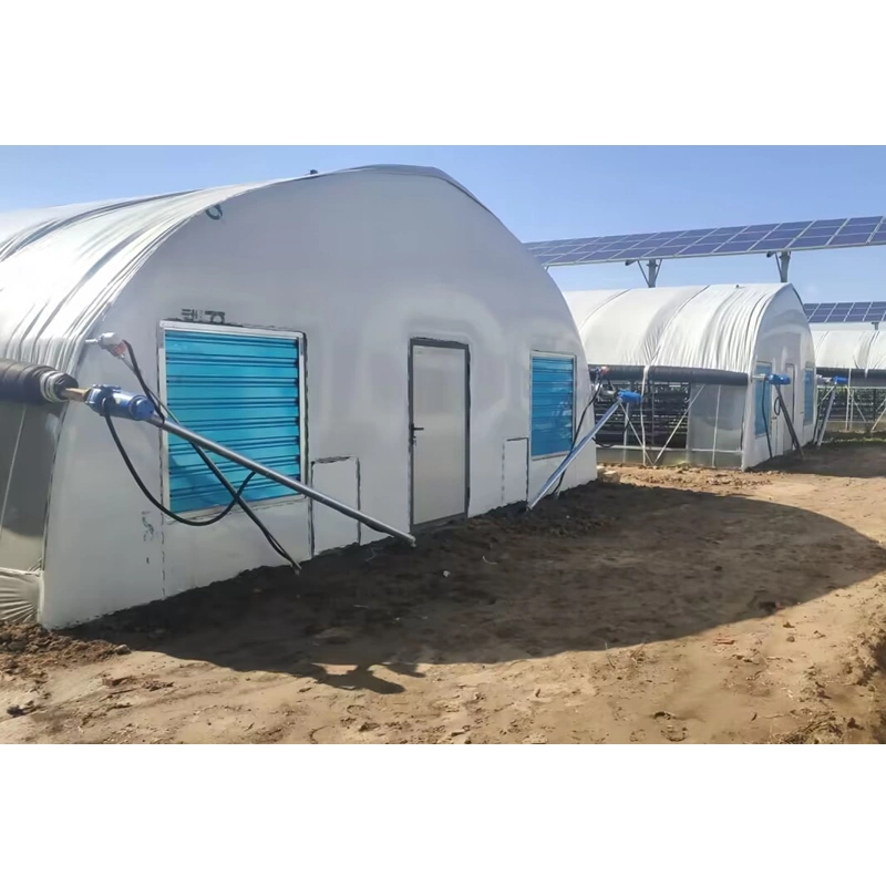 Musroom completo crecer Sitio de crecimiento de la planta de verdenas de musroom para el cultivo