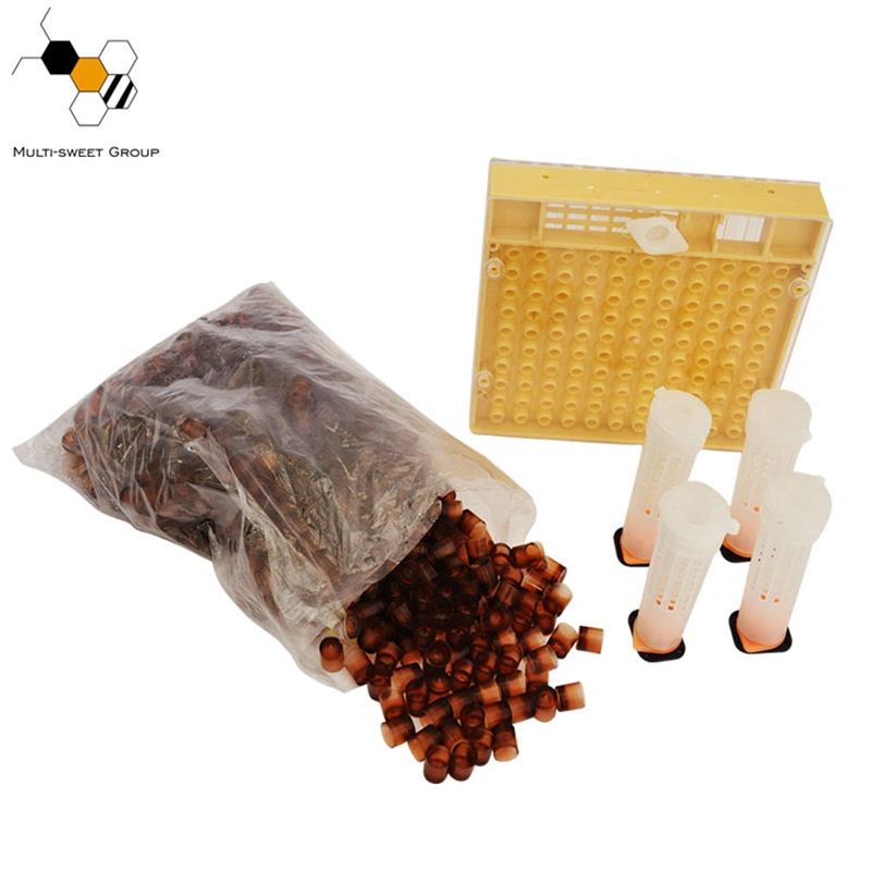 Hot Sales Plastic Beekeeping Tool Set Honey Bee Queen Rearing Box