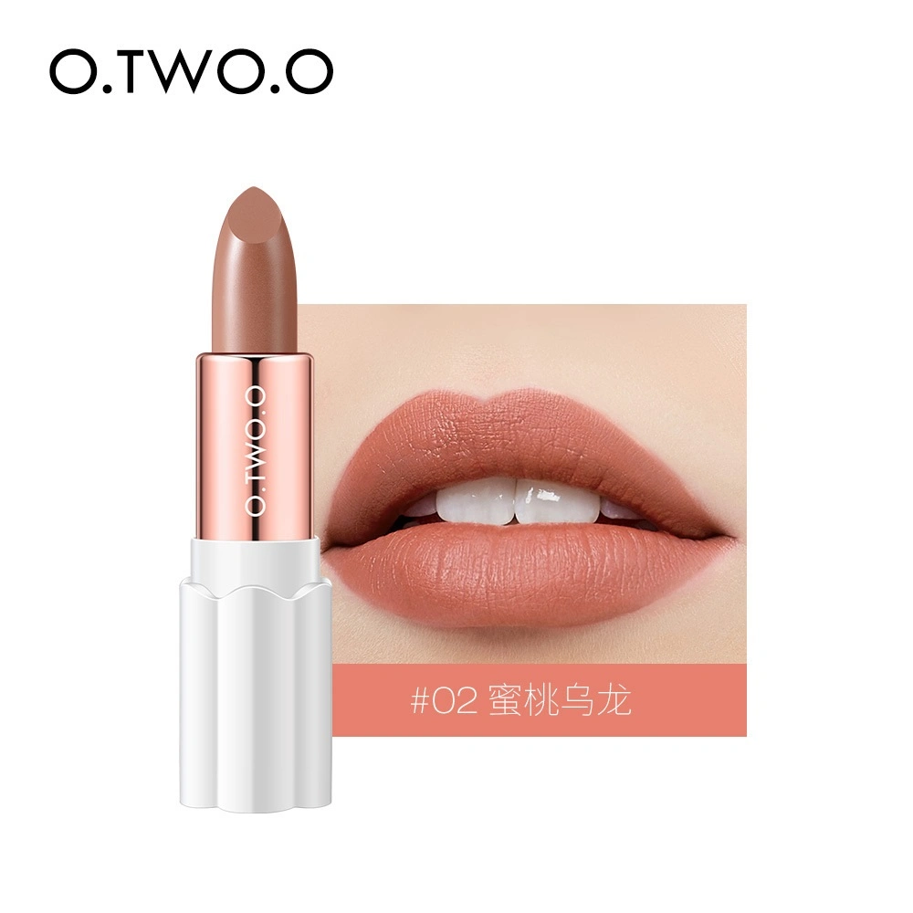Otwo20 Private Label Kosmetik Großhandel Matte Liquid Lipstick