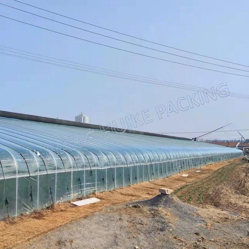 Tunnels agricoles film serre avec systèmes hydroponiques