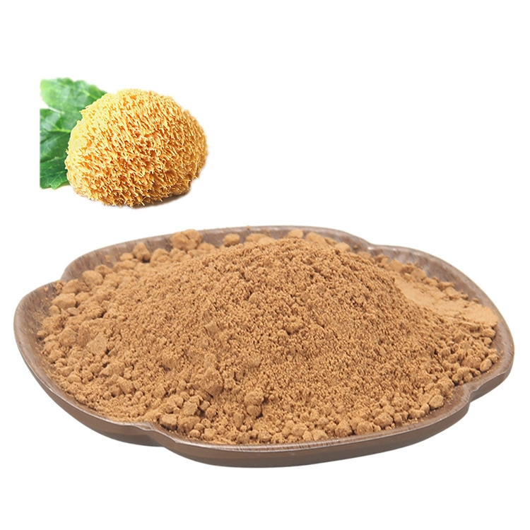 Health Food Lion's Mane Molai 25kg/Bag/Drum Extracto de champiñones medicinal con HACCP
