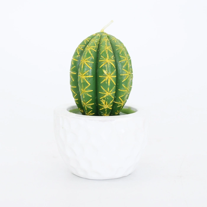 Custom Creative Paraffin Succulent Plant Cactus Candle