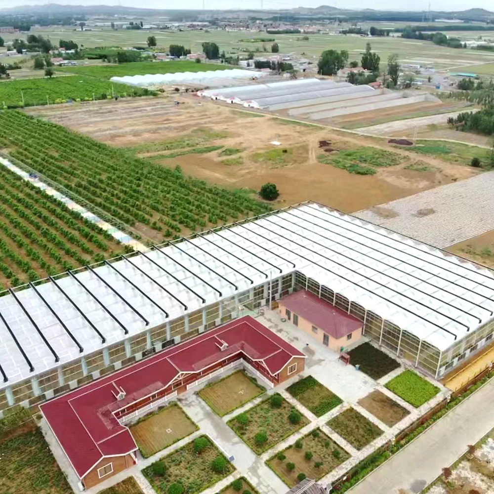 Landwirtschaft Moderne Sternenhimmel Zimmer Multi-Span Glas Gewächshaus für Kirsche/Tomate/Pfeffer/Aubergine mit Hydrokultur-/Heiz-/Kühlsystem