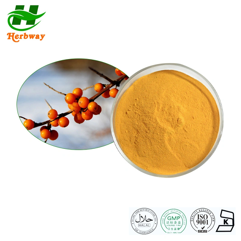 Free Sample Kosher Halal Fssc HACCP Certified High-Quality Seabuckthorn Fruit Powder Seabuckthorn Fruit Extract Powder