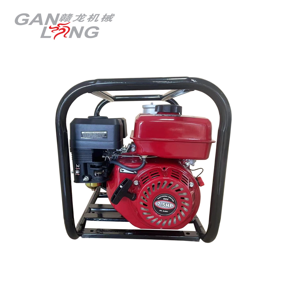 Factory Price Mini Gas Gasoline Petrol Powered Wp20 2inch Water Pump