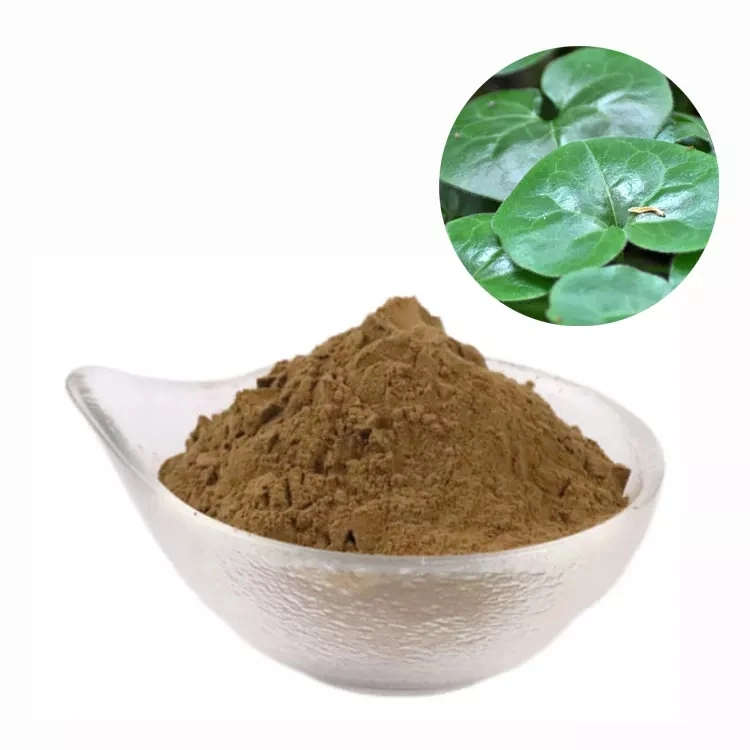 Chinese Herbal Medicine Asarum Root Extract Asarum Heterotropoides Extract