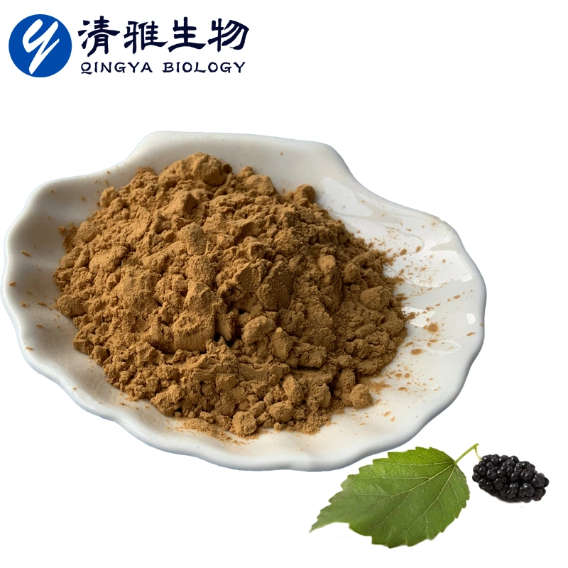 Mulberry Leaf Flavonoide 5%-30% Mulberry Leaf Extrakt Nahrungszusatzstoff