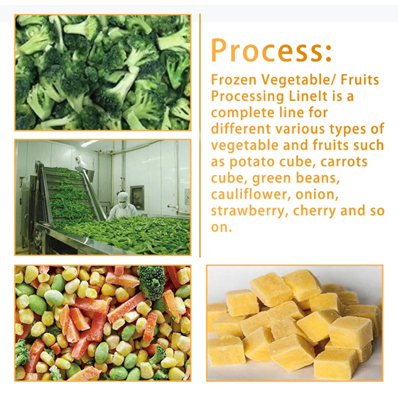 Fruit and Vegetable Sorting Line Vegetable Processing Line and Packaging Line