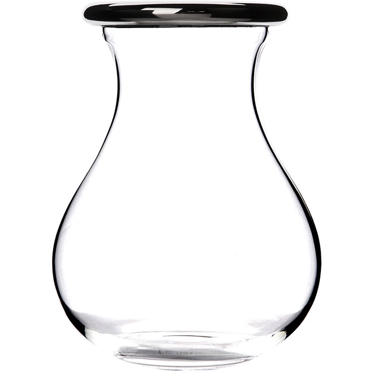 De borosilicato resistente al calor de boca ancha Mason, frascos de vidrio con acero inoxidable