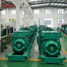 230/400V Rated Voltage Natural Gas Generator China Manufacturer