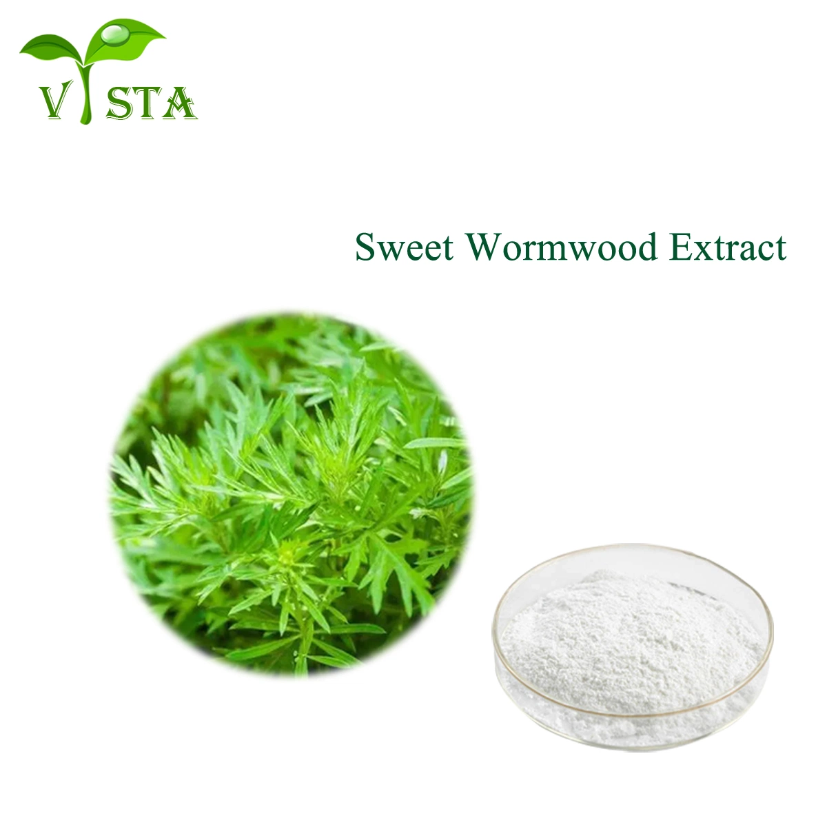 100% Natural Herb Extract 99% Artemisinin Wormwood Extract/ Sweet Wormwood Extract for Anti-Malaria