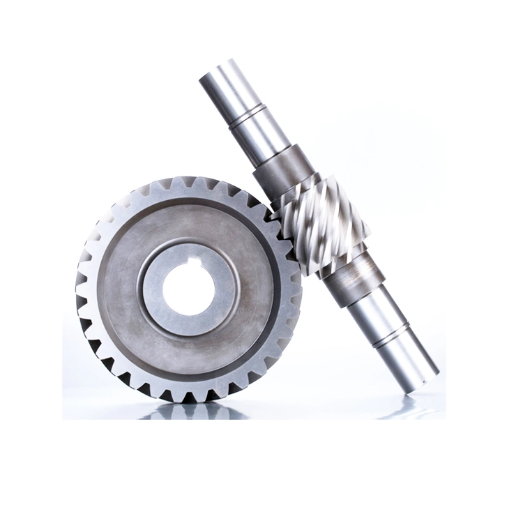 Factory Custom Supply of Mechanical Parts of The Double Worm Gear