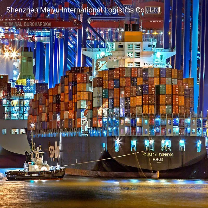 Sea Freight Logistics Ocean Forwarder Shipping Agent From China Shenzhen to Dubai